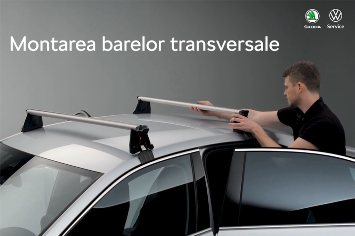 barele transversale