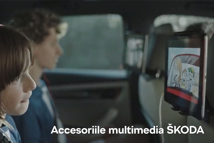 accesorii multimedia