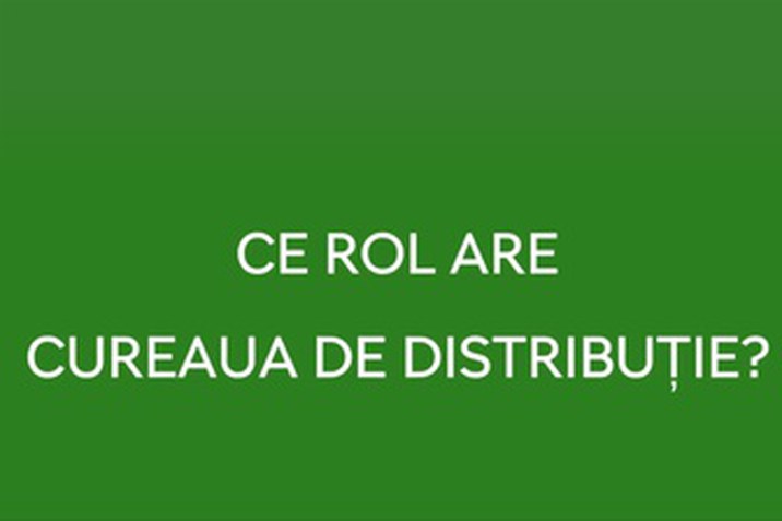 curea distributie