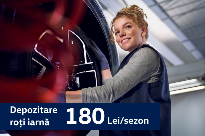 depozitare roti iarna