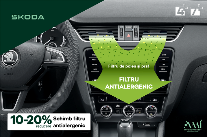 schimb filtru antialergenic