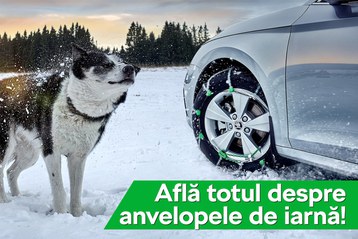 anvelope