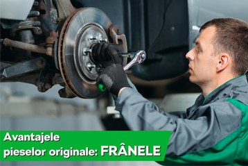 frane skoda