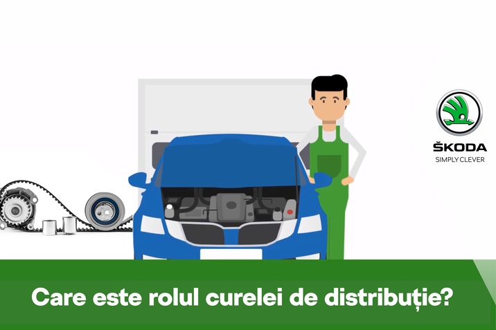 curea distributie